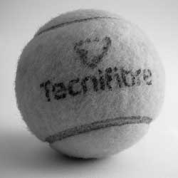 企业竞争力提升的网站攻击器